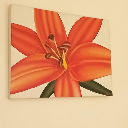 סן-מקסים Appartement Croisette מראה חיצוני תמונה